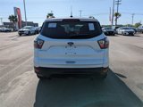 Used 2017 Ford Escape Titanium image 4