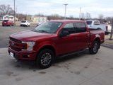 Used 2019 Ford F150 XLT w/ Equipment Group 302A Luxury image 4