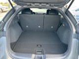 New 2025 INFINITI QX55 Luxe w/ Cargo Package image 5