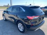 Used 2021 Ford Escape SE image 3