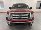 Used 2014 Ford F150 XLT w/ Equipment Group 302A Luxury image 3