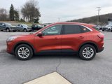 Used 2020 Ford Escape SE image 4