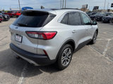 Used 2020 Ford Escape SEL image 5