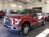 Used 2015 Ford F150 XLT w/ Equipment Group 302A Luxury image 5