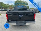 Used 2016 Ford F150 XLT image 4