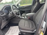 Used 2023 Ford Escape Active w/ Tech Pack #1 image 6