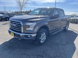 Used 2016 Ford F150 XLT w/ Equipment Group 302A Luxury image 2