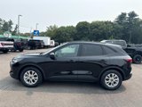 Used 2025 Ford Escape Active w/ Active Premium Tech Pack image 2