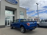 Used 2014 Ford F150 STX w/ Equipment Group 201A Mid image 3