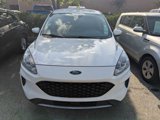 Used 2020 Ford Escape SE image 2