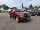 Used 2019 Ford F150 Platinum w/ Equipment Group 701A Luxury image 2