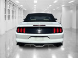 Used 2015 Ford Mustang Premium w/ Equipment Group 201A image 4