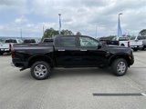 New 2024 Ford Ranger XLT w/ Equipment Group 301A High image 2