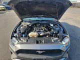 Used 2022 Ford Mustang Premium image 2