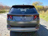 New 2025 Hyundai Tucson SEL image 4