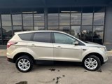Used 2017 Ford Escape SE w/ SE Cold Weather Package image 4