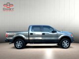 Used 2014 Ford F150 STX w/ Equipment Group 201A Mid image 4