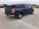 Used 2010 Ford F150 XLT image 3