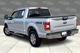 Used 2019 Ford F150 XLT w/ Equipment Group 302A Luxury image 5