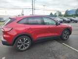 Used 2021 Ford Escape SE w/ SE Sport Appearance Package image 3