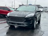 Certified 2022 Ford Escape SE w/ Convenience Package image 4