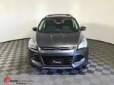 Used 2016 Ford Escape Titanium image 2