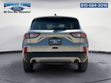 Certified 2022 Ford Escape SE image 4