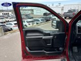 Used 2019 Ford F150 XLT w/ Equipment Group 301A Mid image 4