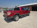 Used 2009 Ford F150 FX4 image 3