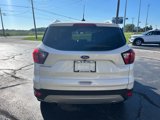 Used 2019 Ford Escape Titanium image 4