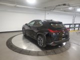 Used 2020 Lexus UX 250h w/ Premium Package image 5