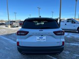 New 2025 Ford Escape ST-Line Elite w/ Tech Pack #1 image 4