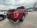 Used 2014 Ford F150 XLT w/ Equipment Group 302A Luxury image 3