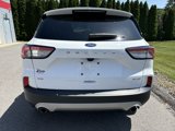 Used 2022 Ford Escape SE w/ Convenience Package image 4