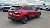 Certified 2022 Ford Escape SE w/ SE Sport Appearance Package image 3