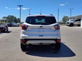 Used 2017 Ford Escape SE w/ SE Leather Comfort Package image 4