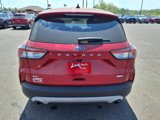 Used 2020 Ford Escape SE image 4