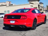 Used 2020 Ford Mustang Premium image 5