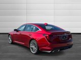 Used 2025 Cadillac CT5 Premium Luxury image 3
