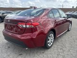 Used 2024 Toyota Corolla LE image 3