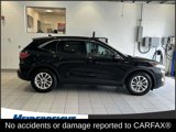 Used 2020 Ford Escape SE image 2