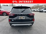 New 2024 Ford Escape Active w/ Tech Pack #1 image 4