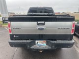 Used 2013 Ford F150 Platinum image 5