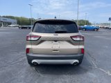 Used 2021 Ford Escape SE image 6