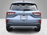 Used 2022 Ford Escape SEL image 5