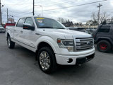 Used 2013 Ford F150 Platinum image 2