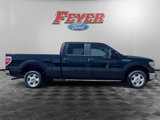 Used 2014 Ford F150 XLT w/ Equipment Group 301A Mid image 6