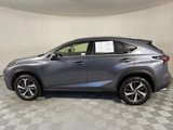 Used 2020 Lexus NX 300 AWD w/ Premium Package image 4