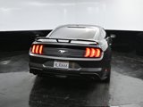 Used 2019 Ford Mustang Coupe w/ Ecoboost Performance Package image 6