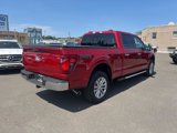 Certified 2024 Ford F150 XLT w/ Equipment Group 303A High image 4